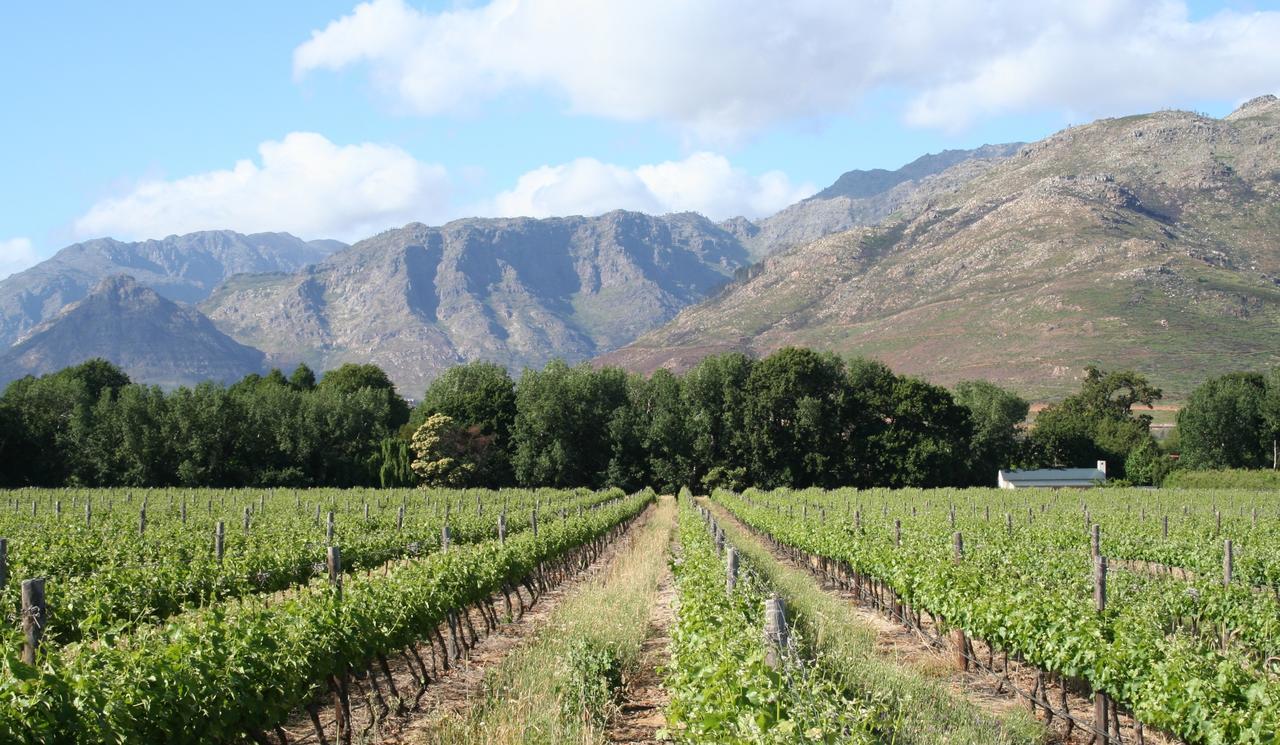 La Chataigne Wines & Guest Cottages Franschhoek Exterior photo