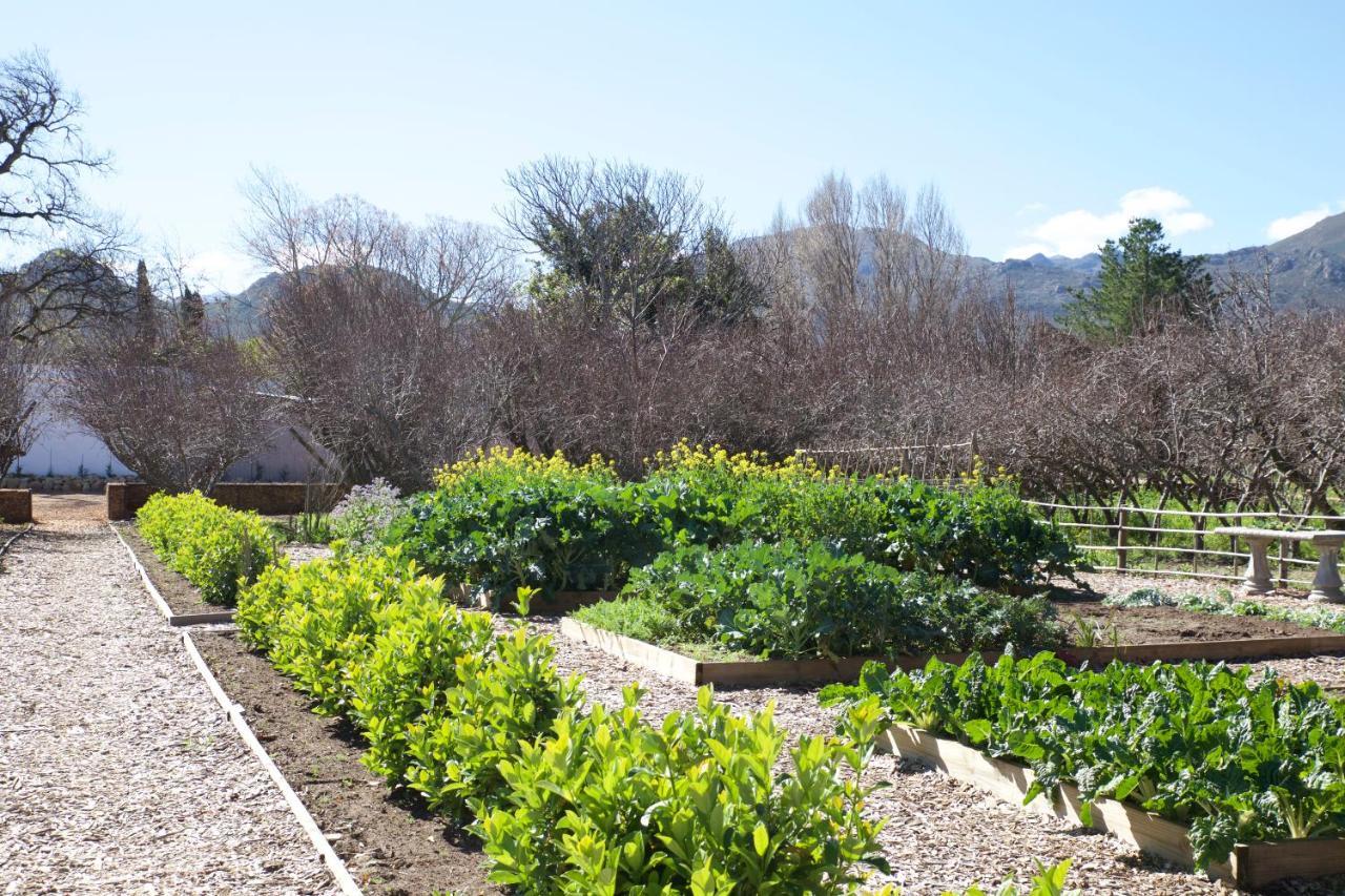 La Chataigne Wines & Guest Cottages Franschhoek Exterior photo