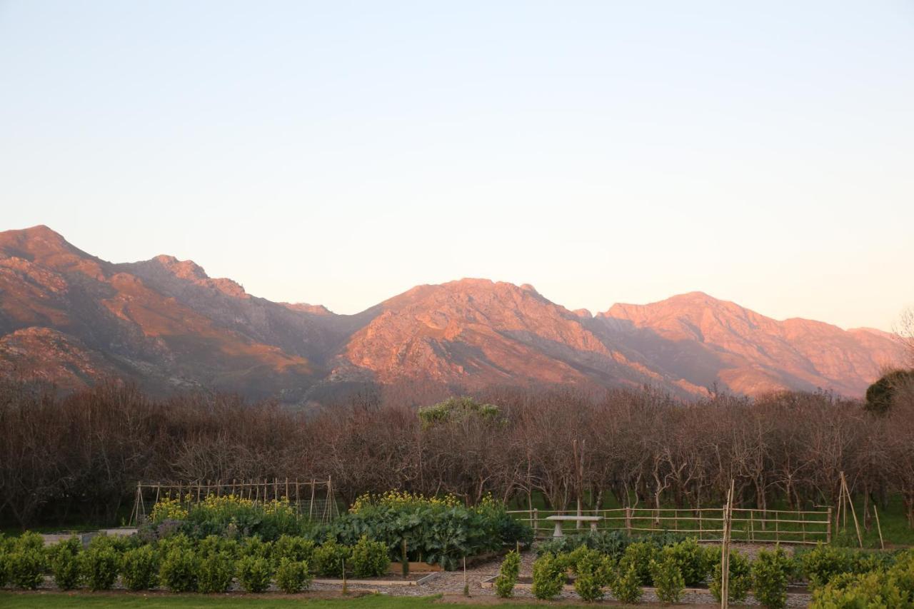 La Chataigne Wines & Guest Cottages Franschhoek Exterior photo