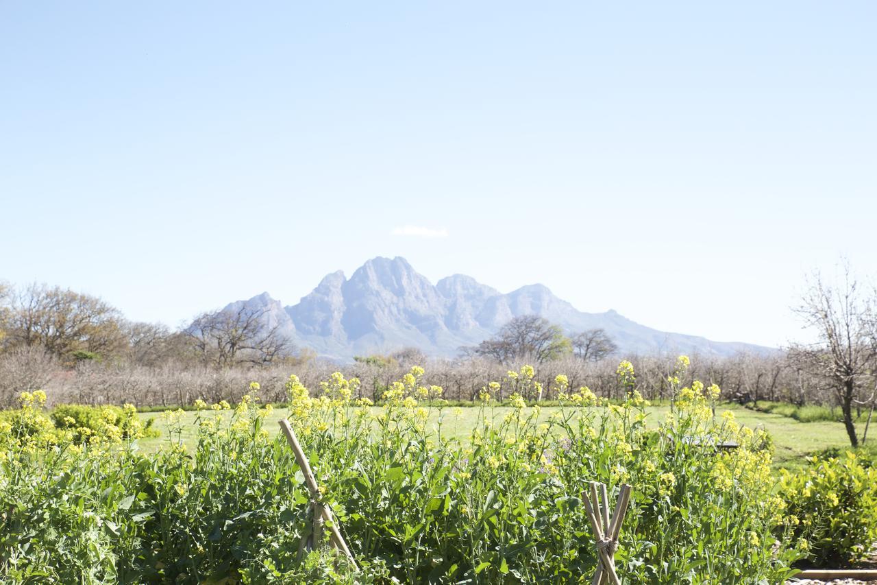 La Chataigne Wines & Guest Cottages Franschhoek Exterior photo