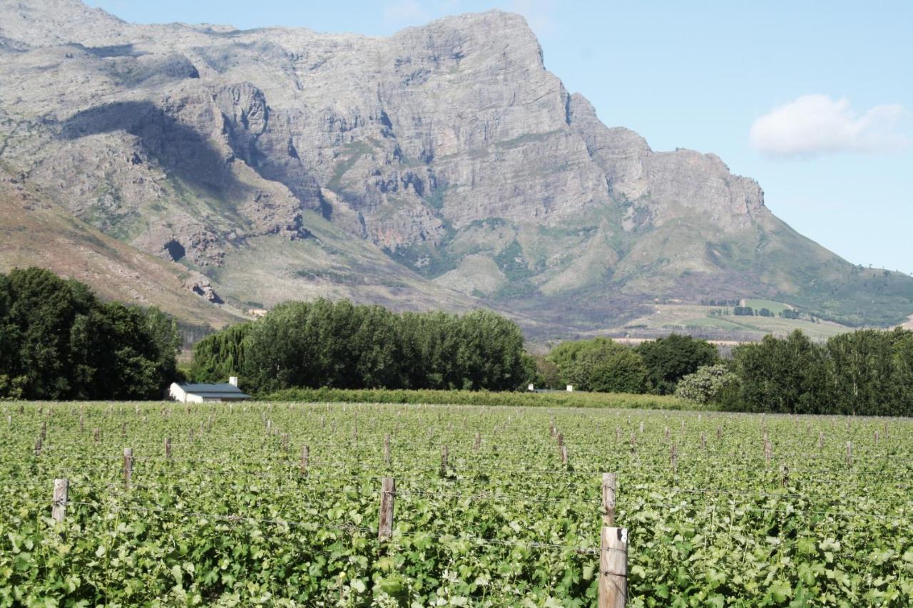 La Chataigne Wines & Guest Cottages Franschhoek Exterior photo