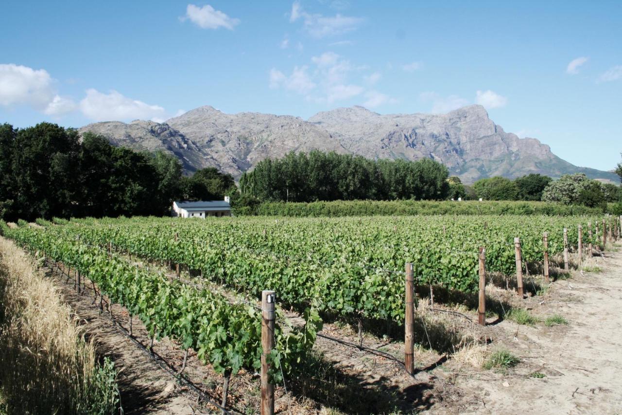 La Chataigne Wines & Guest Cottages Franschhoek Exterior photo